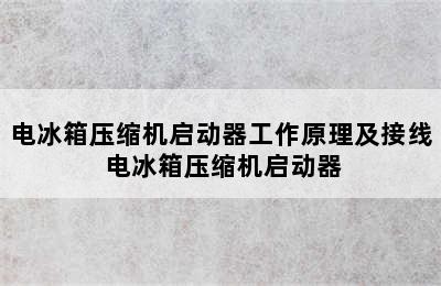 电冰箱压缩机启动器工作原理及接线 电冰箱压缩机启动器